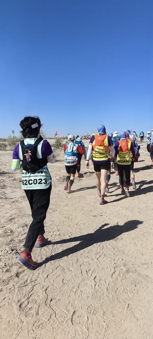 Runners strung out across the Gobi course